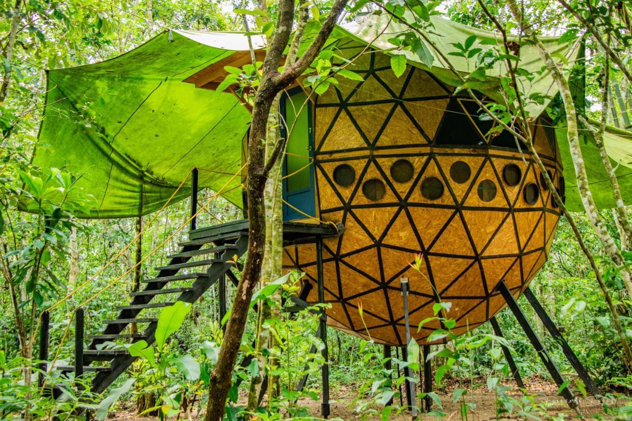 La Macarena Hotel Ecologico Makalombia מראה חיצוני תמונה
