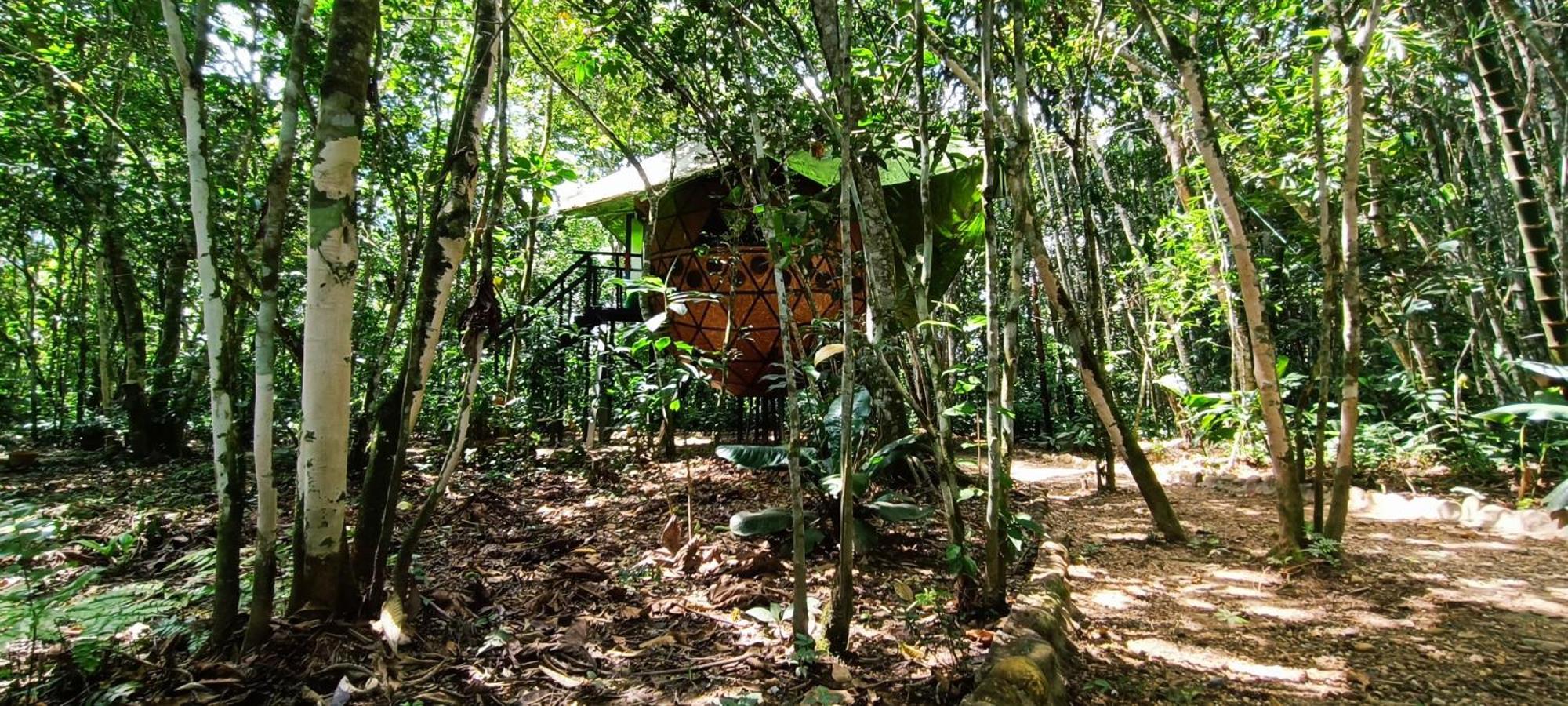 La Macarena Hotel Ecologico Makalombia מראה חיצוני תמונה