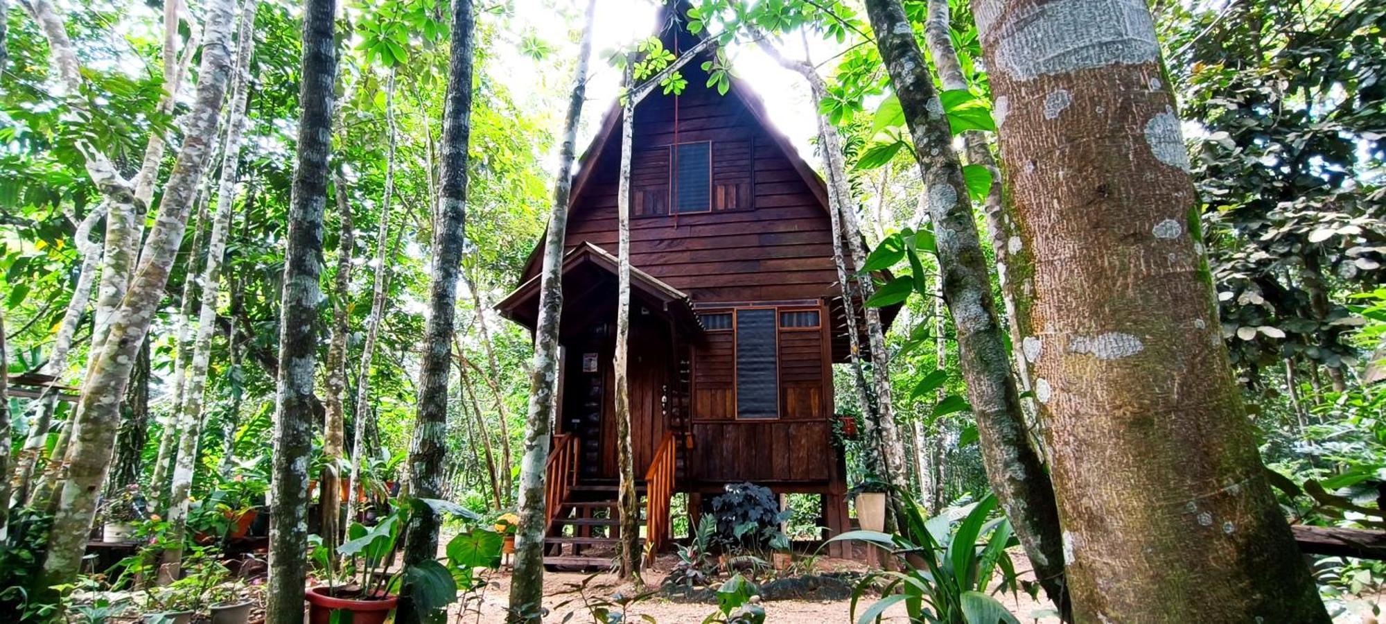 La Macarena Hotel Ecologico Makalombia מראה חיצוני תמונה